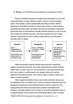 Referāts 'Nenoteiktības mazināšanas teorija', 6.