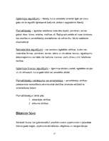 Prakses atskaite 'Prakses atskaite grāmatvedībā', 17.