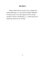 Prakses atskaite 'Prakses atskaite grāmatvedībā', 19.