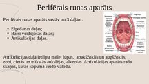 Prezentācija 'Dislālija - artikulācijas traucējumi perifērajā runas aparātā', 4.