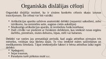 Prezentācija 'Dislālija - artikulācijas traucējumi perifērajā runas aparātā', 10.