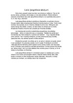 Konspekts 'Lielie ģeogrāfiskie atklājumi', 1.