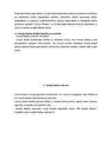 Referāts 'Valsts centrālās bankas būtība', 10.