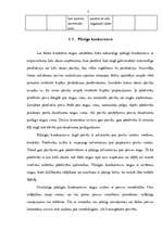 Referāts 'Konkurences analīze jaunu automobiļu tirgū Latvijā', 6.