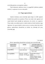 Referāts 'Konkurences analīze jaunu automobiļu tirgū Latvijā', 15.