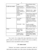 Referāts 'Konkurences analīze jaunu automobiļu tirgū Latvijā', 16.