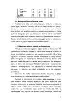 Referāts 'Valsts maksājuma bilances kapitāla un finanšu konta analīze', 5.