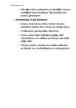 Konspekts 'Tēzes par faraoniem', 2.