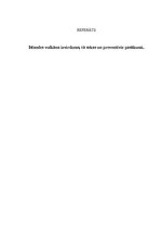 Eseja 'Īslandes vulkāna izvirdums, tā sekas un preventīvie pasākumi', 2.