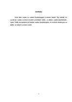 Eseja 'Īslandes vulkāna izvirdums, tā sekas un preventīvie pasākumi', 6.