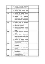 Prakses atskaite 'Profesionālā prakse pagasttiesā. Dienasgrāmata', 5.