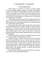 Referāts 'Saules enerģijas uzkrājēji un pārveidotāji - vistīrākais alternatīvās enerģijas ', 6.