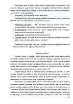 Referāts 'Saules enerģijas uzkrājēji un pārveidotāji - vistīrākais alternatīvās enerģijas ', 10.