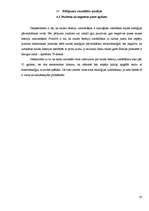 Referāts 'Saules enerģijas uzkrājēji un pārveidotāji - vistīrākais alternatīvās enerģijas ', 19.