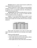 Referāts 'Tirgus mehānisms', 2.