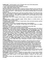 Konspekts 'Ievads socioloģijā', 7.