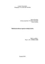 Konspekts 'Multikulturālisma aspekti sociālajā darbā', 1.