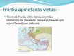 Prezentācija 'Franku valsts', 3.