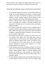 Prakses atskaite 'Prakse uzņēmuma organizācijā', 19.