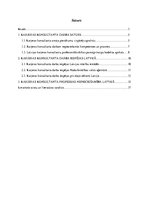 Referāts 'Karjeras konsultanta profesijas iespēju daudzveidība Latvijā', 2.