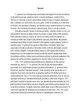 Referāts 'Informācijas nesēju vēsturiskā attīstība', 3.