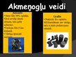 Prezentācija 'Akmeņogles', 5.