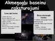 Prezentācija 'Akmeņogles', 9.
