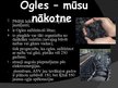 Prezentācija 'Akmeņogles', 13.