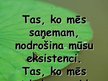 Prezentācija 'Akmeņogles', 16.