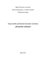 Eseja 'Komandas veidošana', 1.