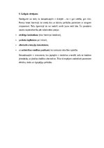 Konspekts 'Benzodiazepīni medicīnā: trauksmes un miega traucējumu terapija starp efektivitā', 13.