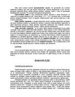 Referāts 'Nafta, dabasgāze, akmeņogles', 2.