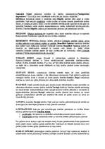 Konspekts 'Tiesību filosofijas vēsture', 6.