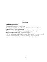 Referāts 'Sabiedrības integrācija Latvijā', 17.