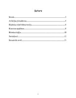 Referāts '20.gadsimta atklājumi, kas maina zinātnisko viedokli par pasauli', 2.