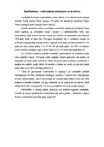 Referāts 'Azartspēles kā deviantoloģiska parādība', 5.