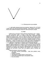 Referāts 'SIA "Latgales ogles" eksportējamā produkcija', 19.