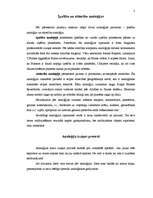 Referāts 'Analoģija', 2.