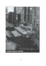 Referāts 'Latvijas armijas 15. un 19.divīzija', 16.