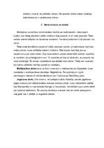 Referāts 'Budisms', 9.