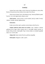 Referāts 'Lietotnes "Uzmini vārdu" izstrāde un analīze', 2.