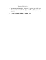 Referāts 'Klientu apkalpošanas jomas loģistikā', 4.