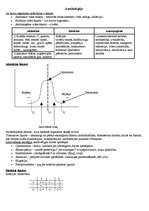 Konspekts 'Ekoloģija, dabas aizsardzība', 2.