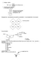 Konspekts 'Ekoloģija, dabas aizsardzība', 5.