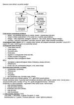 Konspekts 'Ekoloģija, dabas aizsardzība', 7.