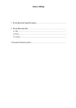 Referāts 'Biruta Baumane. Dzīve. Darbi', 3.