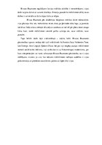 Referāts 'Biruta Baumane. Dzīve. Darbi', 17.