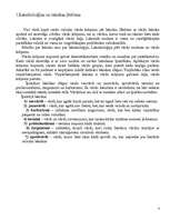 Referāts 'Īpatnējā leksika grupas "Borowa MC" dziesmu tekstos', 3.