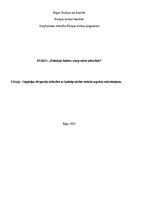 Eseja 'Ungārijas divpusējo attiecību ar kaimiņvalstīm etniskā aspekta raksturojums', 1.