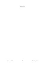 Prakses atskaite 'Prakses atskaite a/s "Parex banka"', 55.